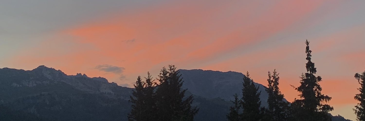 izzyfry4's profile banner image