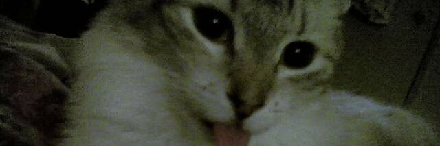 steve77g's profile banner image