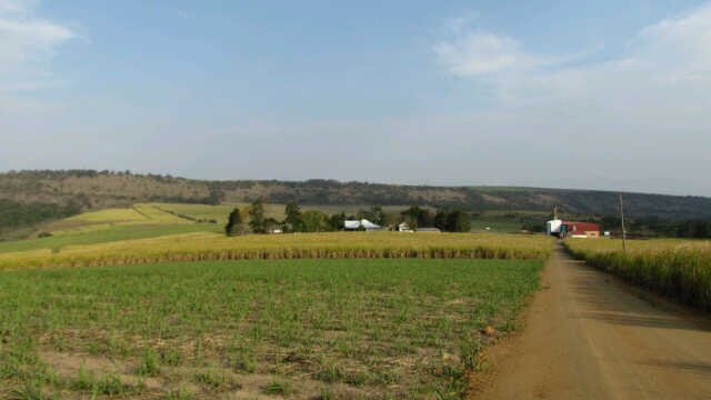 christa_venter's profile banner image