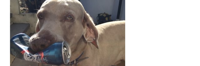 HamishGarrity's profile banner image
