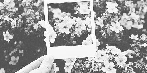 GirICloset's profile banner image