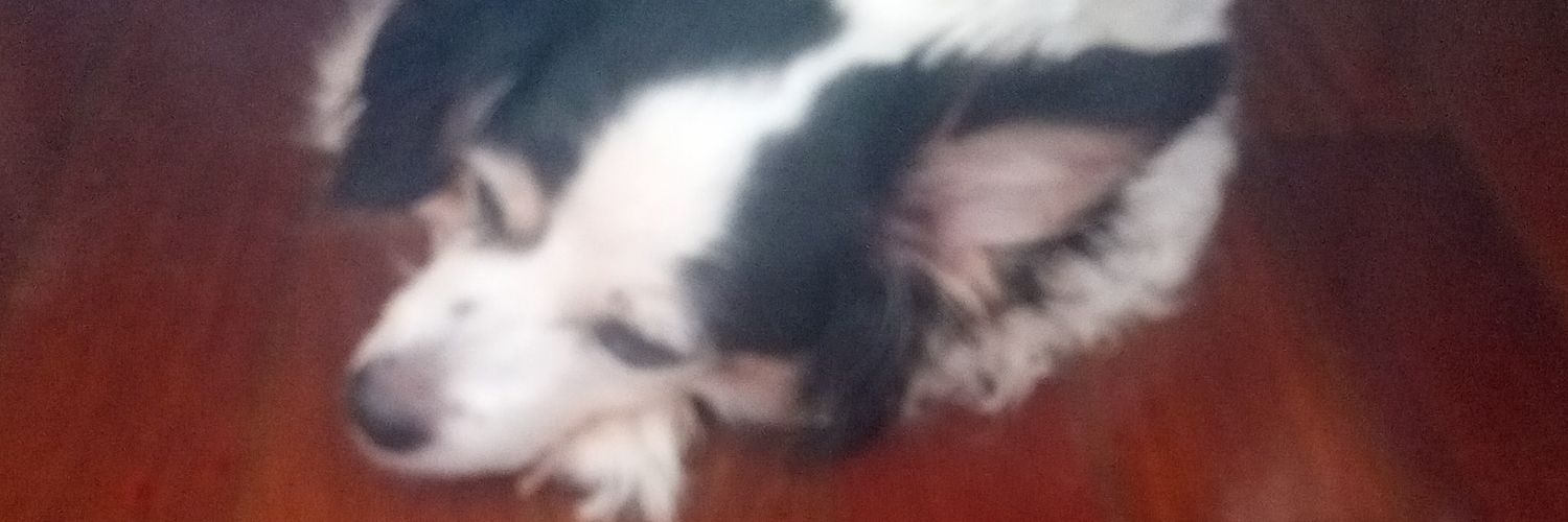 pamsobrinho's profile banner image