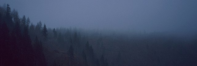 Alaneyav's profile banner image