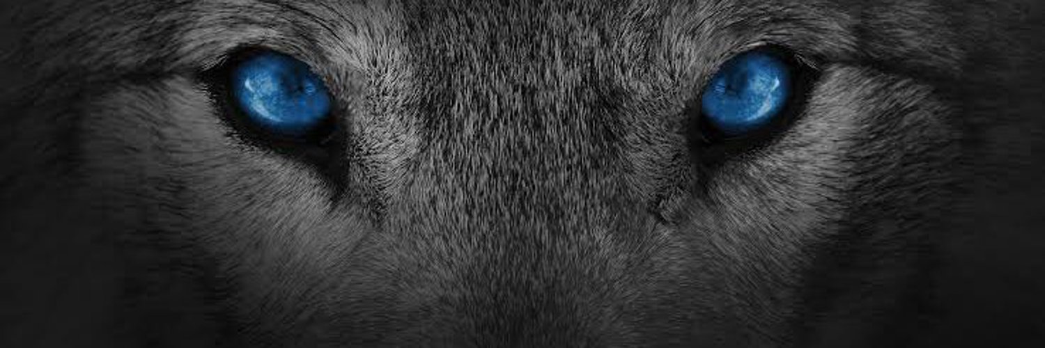 Lone Wolf🐺 Profile Banner