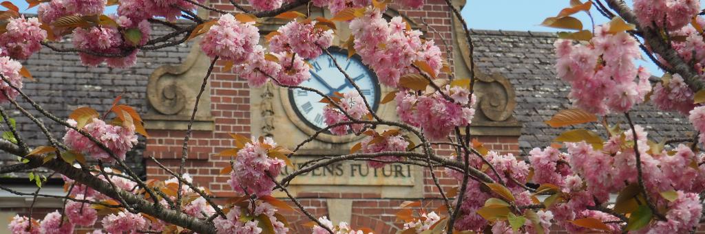 Newton Abbot College banner