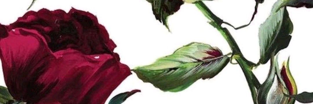 israsintia's profile banner image
