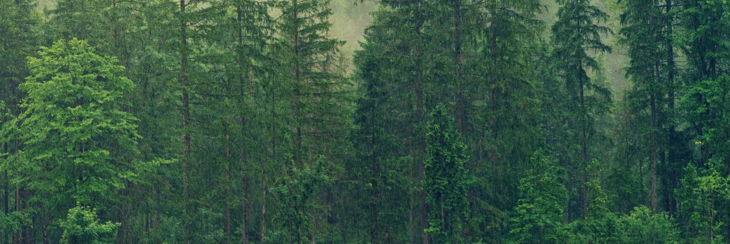 erikdi001's profile banner image