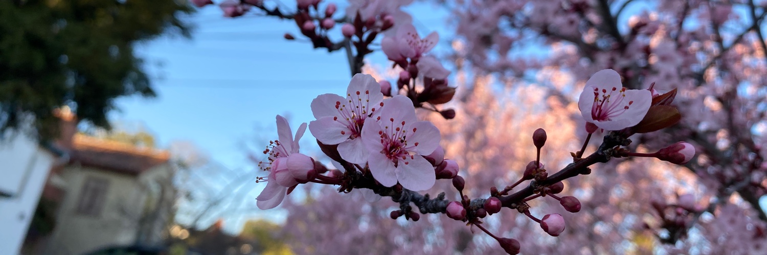 ant j. williams, phd banner