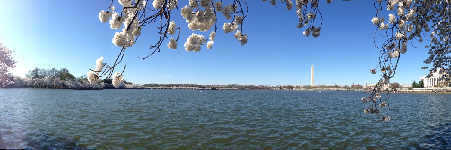 Gabby Domingo banner