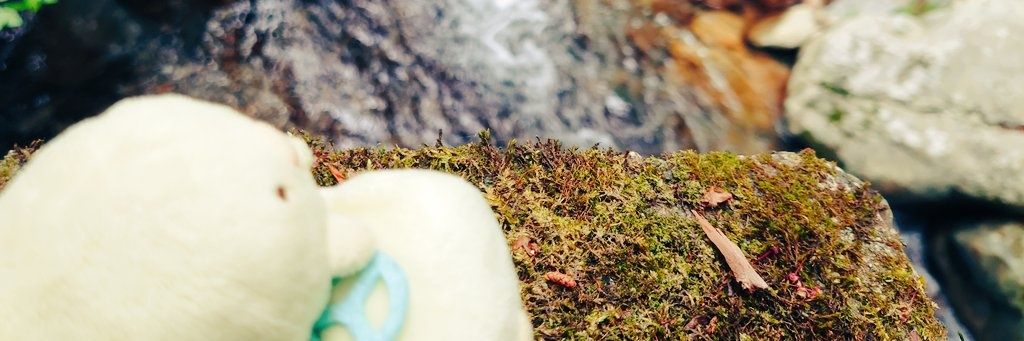 mgmgkappappa's profile banner image