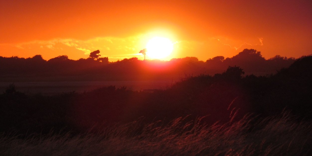 jackthornhill's profile banner image
