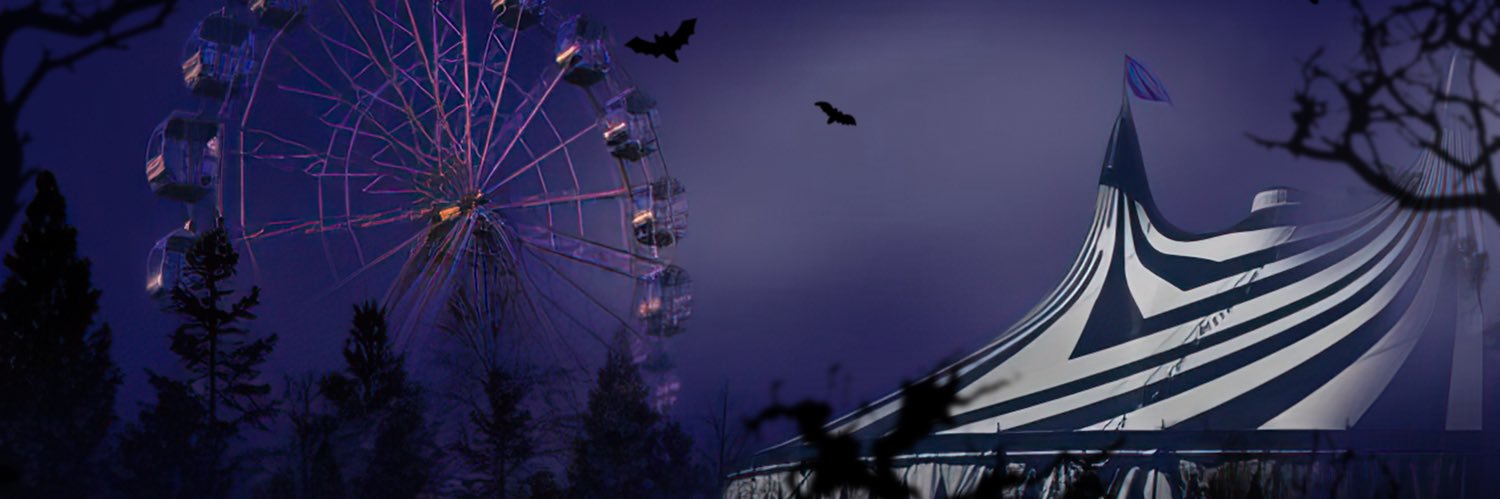 NiklasRingling banner