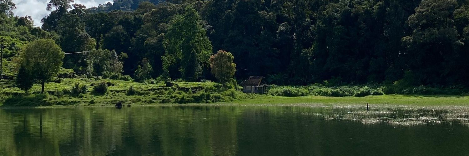 adilloalman's profile banner image