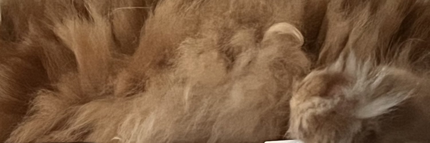 torosansui's profile banner image