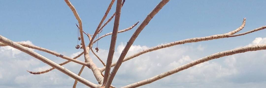 nathandiirr's profile banner image