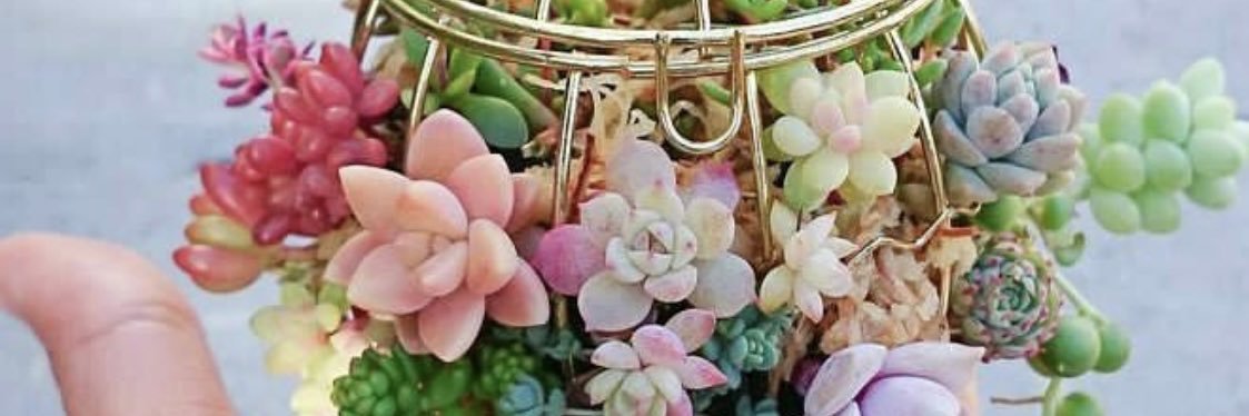 peakypretty's profile banner image