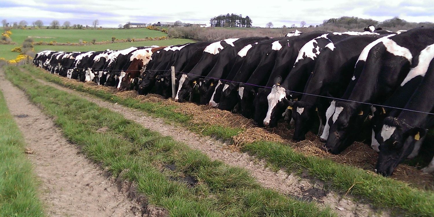 Edward O Flynn banner