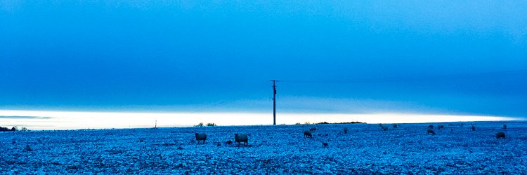 DanielDormeyer's profile banner image