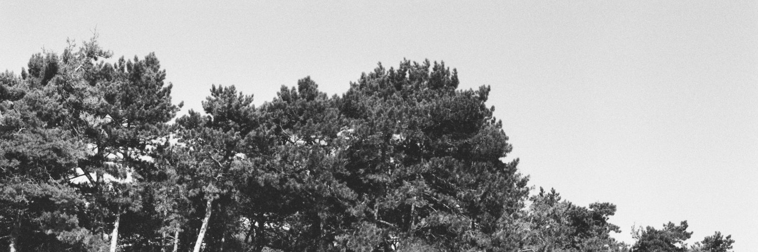 willpriddis's profile banner image