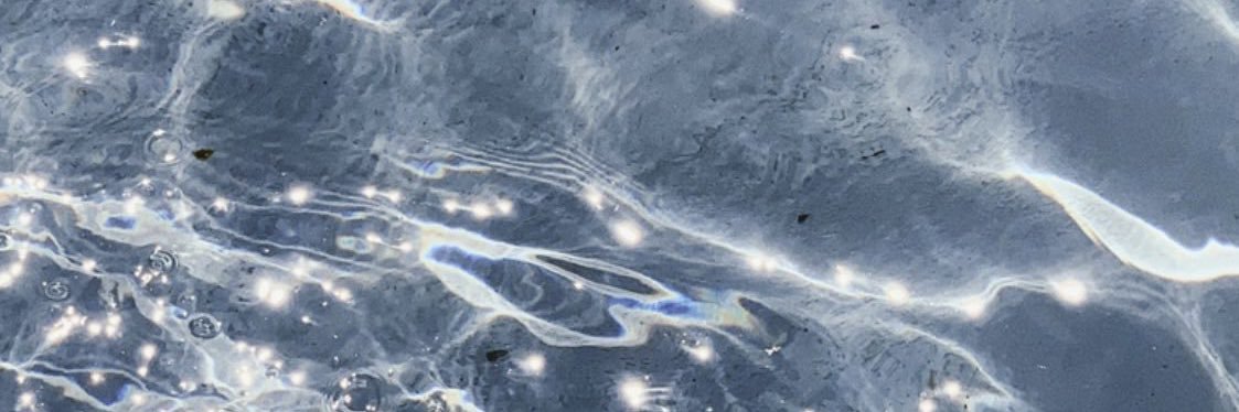 pangvipa's profile banner image