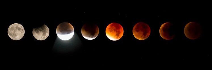 fluxodulce's profile banner image