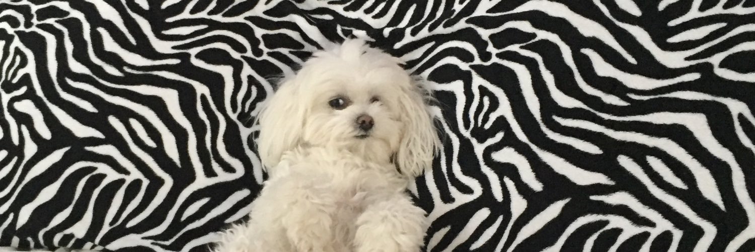 obforbes's profile banner image