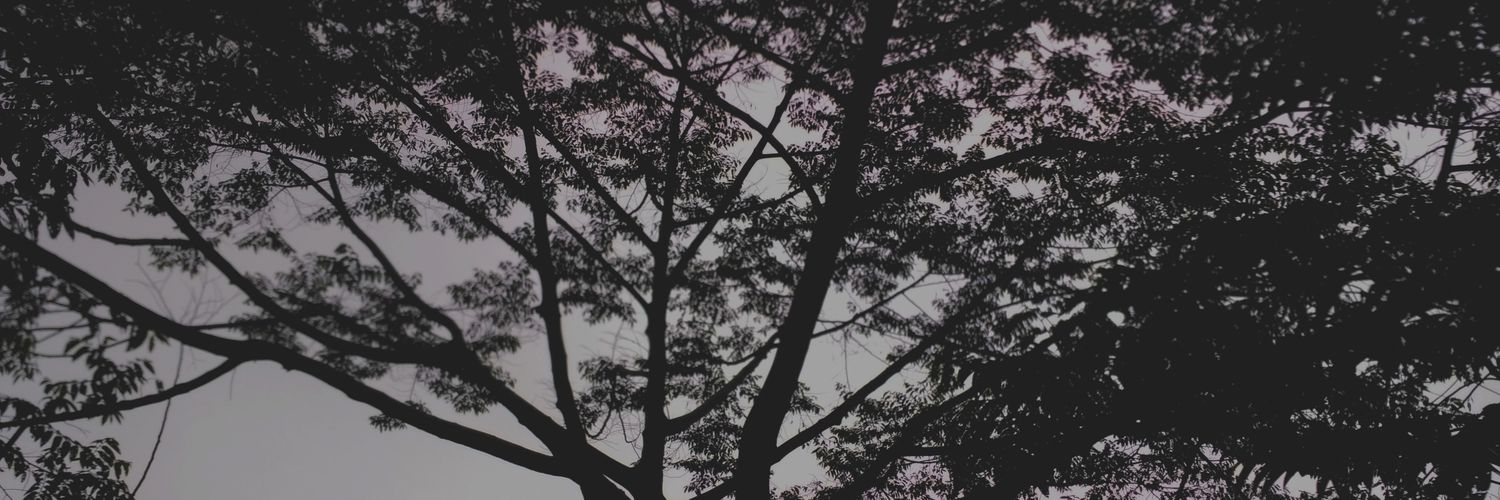timoergenta's profile banner image