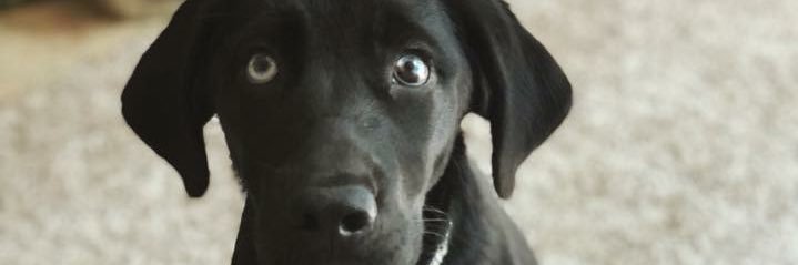 jacob123274's profile banner image