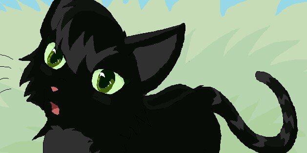 Windy_Russet's profile banner image