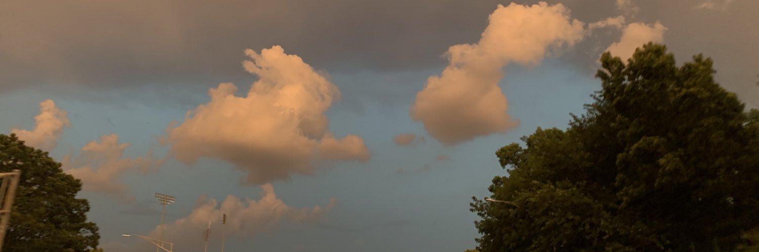 rossy_gabby's profile banner image