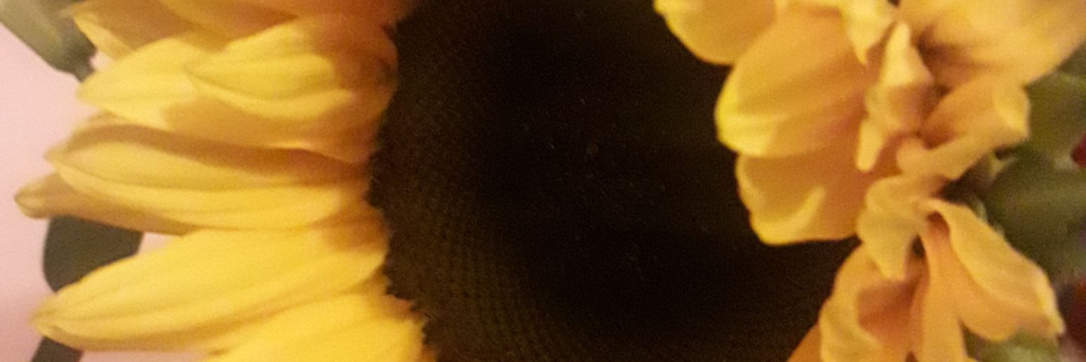 Revd Canon Rachel Firth banner