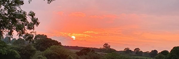 26_2mile_monkey Profile Banner