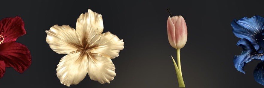 floweriheart's profile banner image