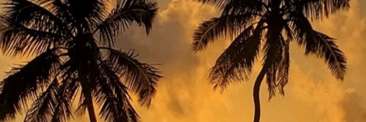 DawnMerck1's profile banner image