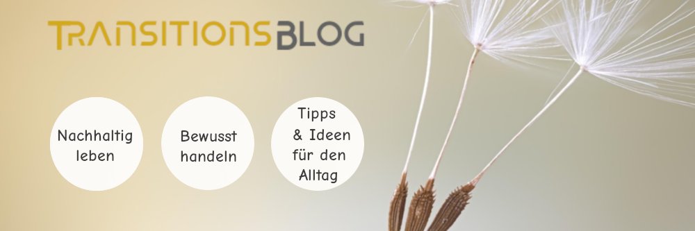 Transitionsblog's profile banner image