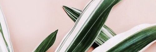 mlkwrn's profile banner image