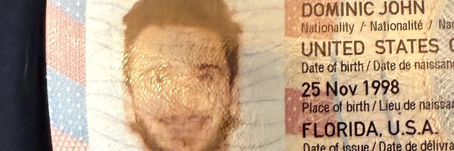 domdimillo's profile banner image