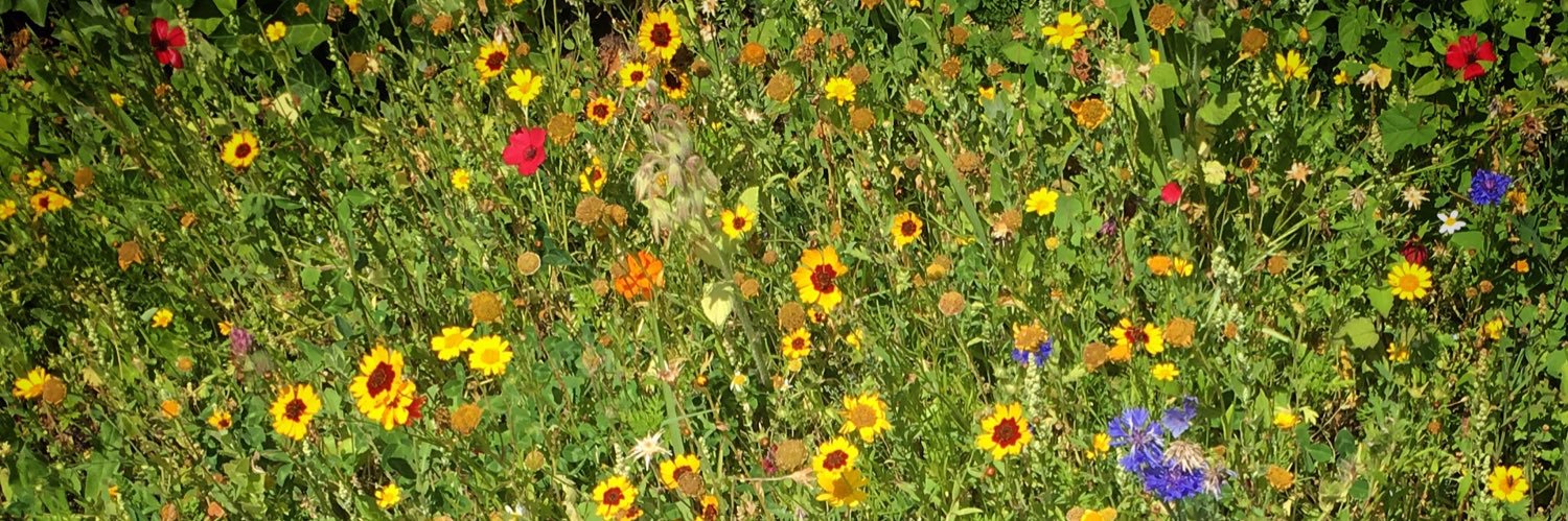 lozzybrown's profile banner image
