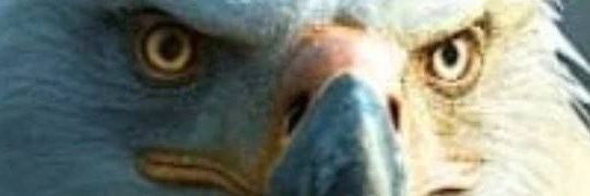 vinycesar20's profile banner image