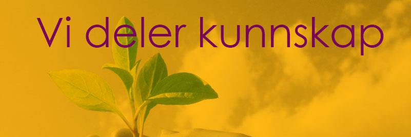 Pasientsikkert's profile banner image