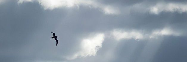 waleed09909's profile banner image