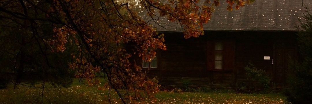gabylux_'s profile banner image