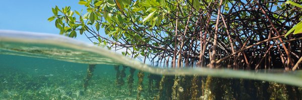 CwHumanEcology Profile Banner