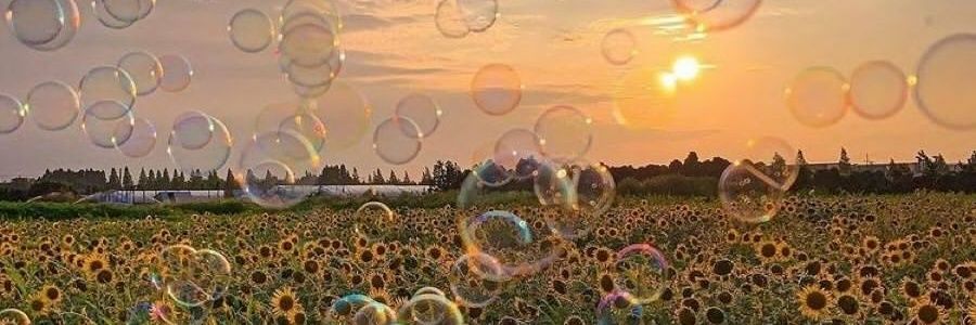 _margareta's profile banner image