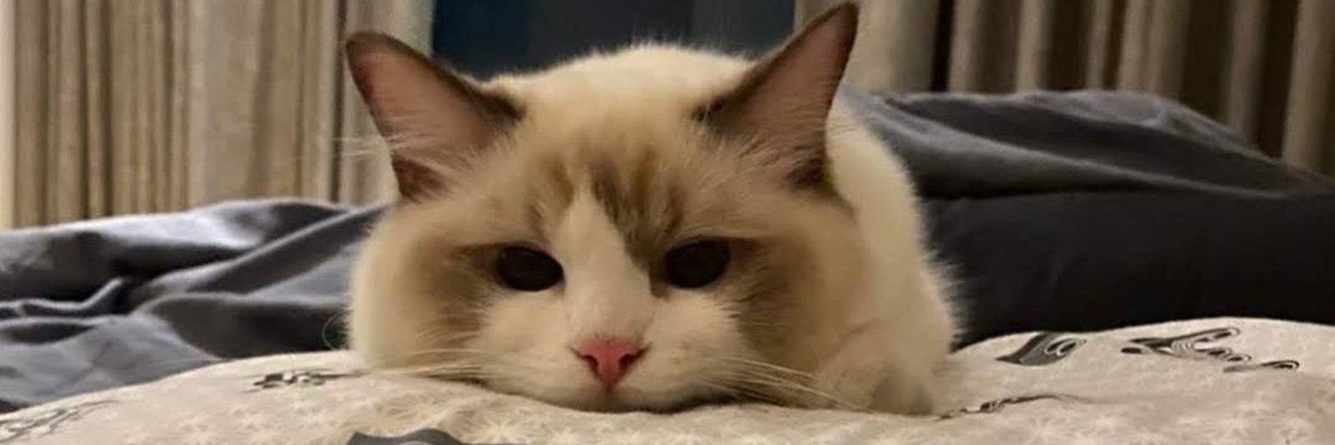 mkAAAtk's profile banner image