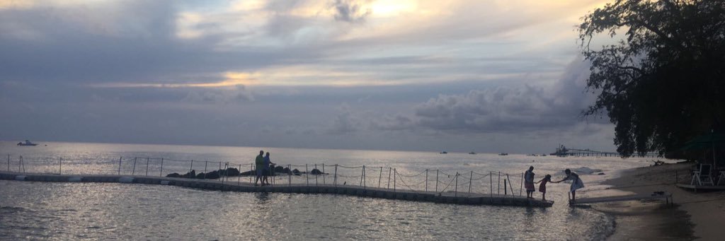lfchapman's profile banner image