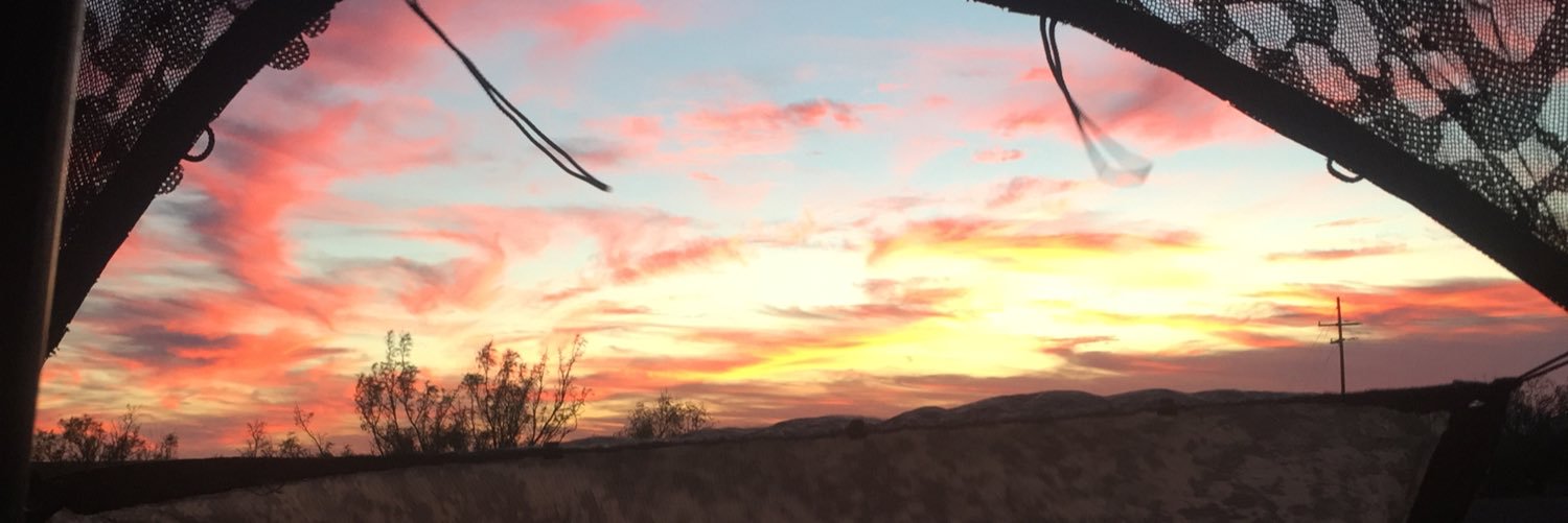 LJ22xo's profile banner image