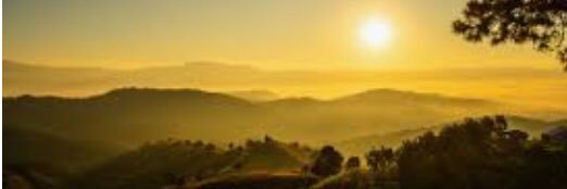 Roger Portella banner