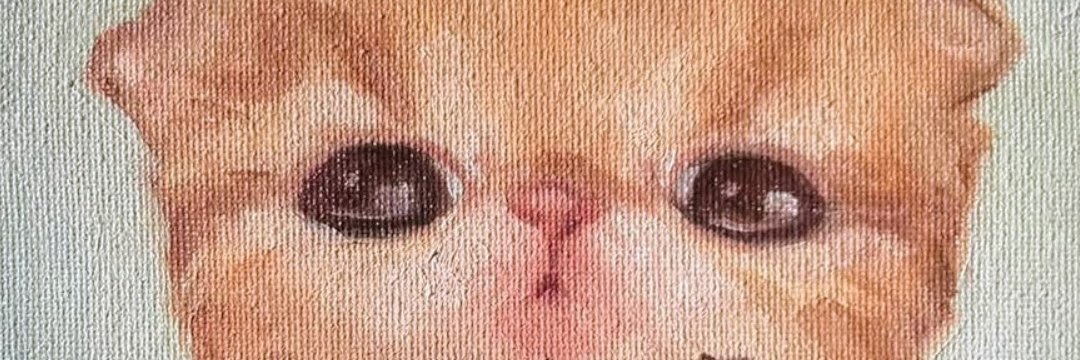 fxbvrgz's profile banner image