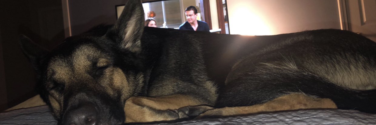toriduggin_'s profile banner image